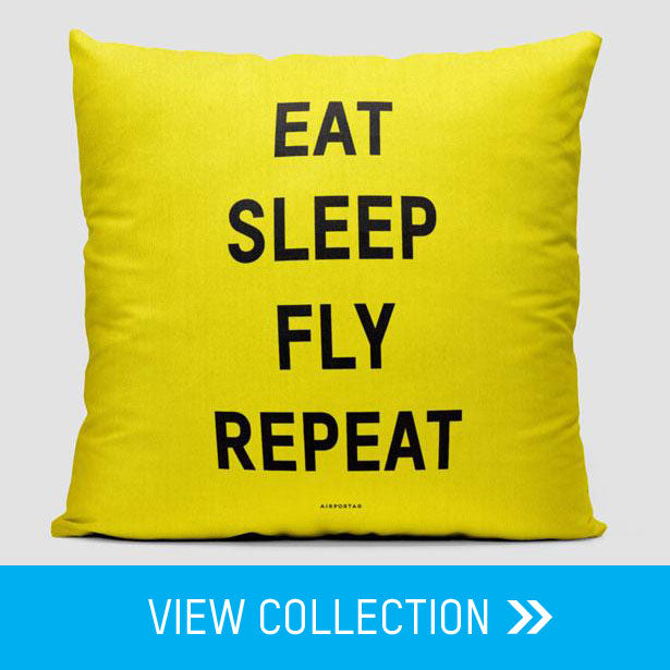 Eat Sleep Fly