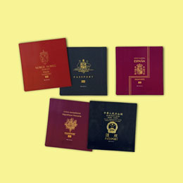 Passport Magnets