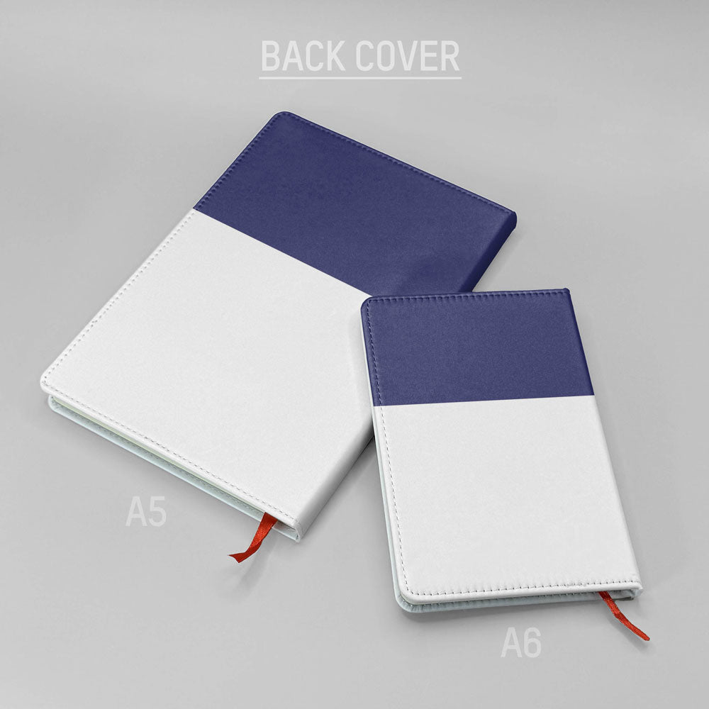 AY - Journal