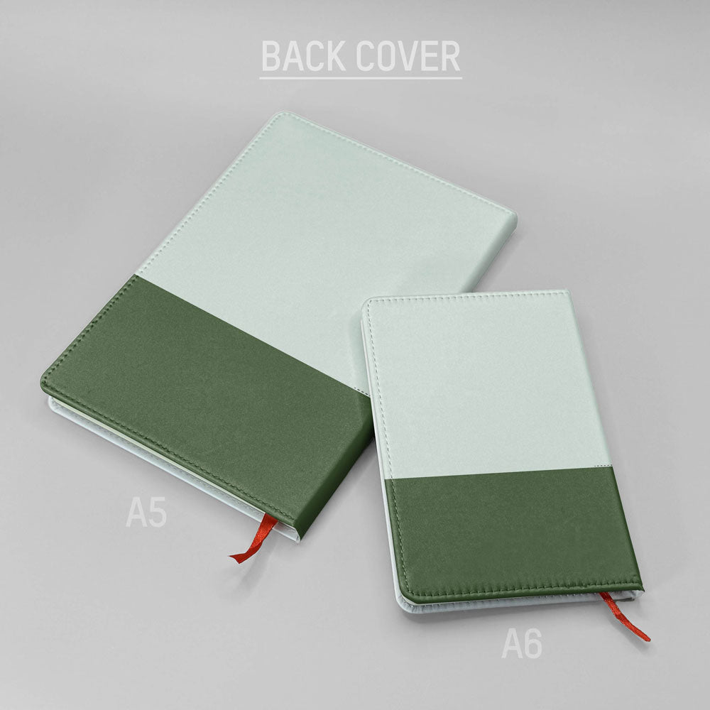 BTV - Journal