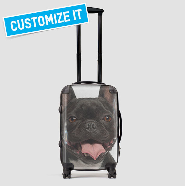 Pet Luggage