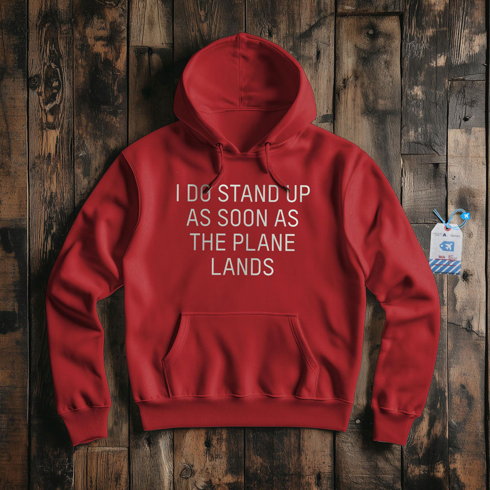 I Do Stand Up - Pullover Hoodie