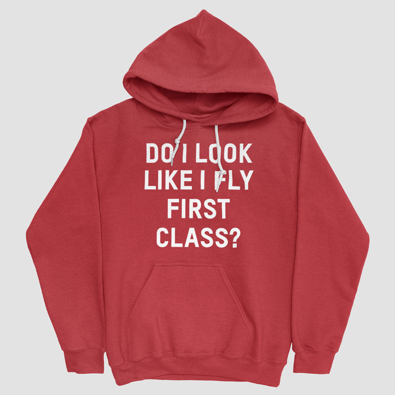 Do I Look Like I Fly First Class? - Pullover Hoody