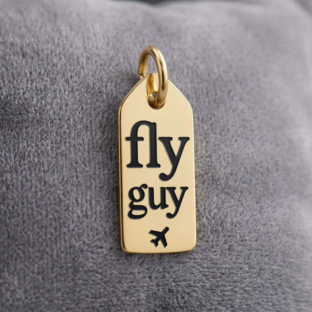 Fly Guy - Mini Tag - Charm