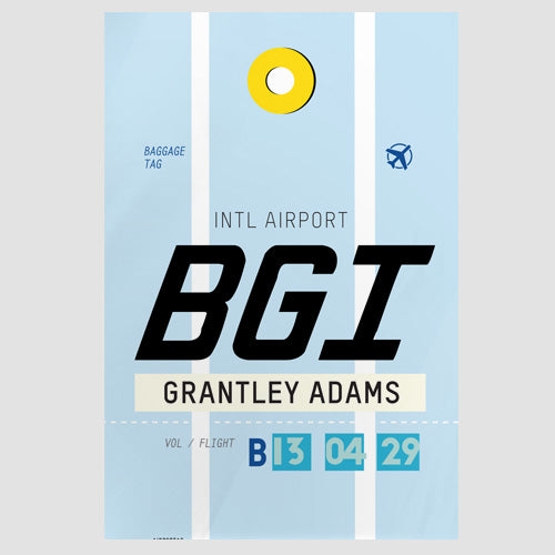 BGI - Poster - Airportag