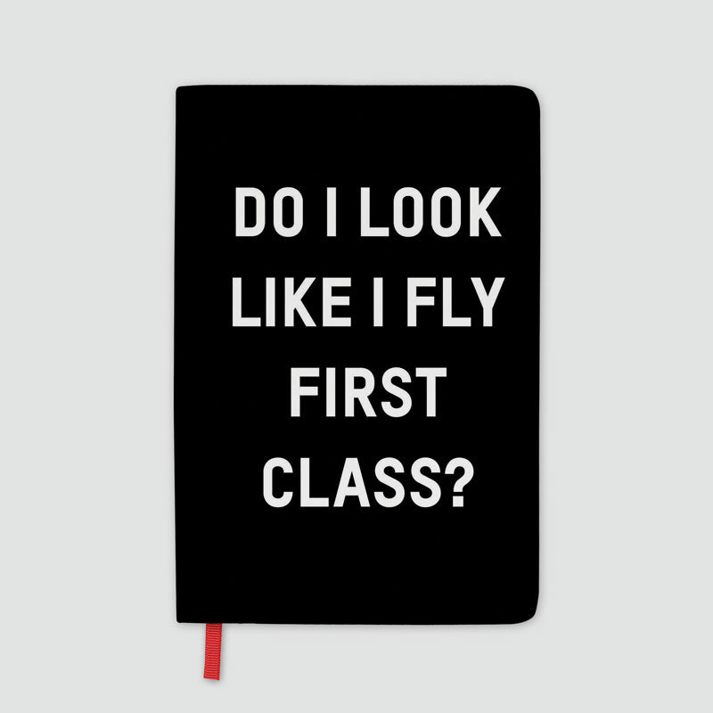 Do I Look Like I Fly First Class? - Journal